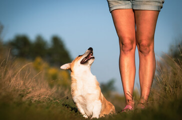 A dog next to a person's feet