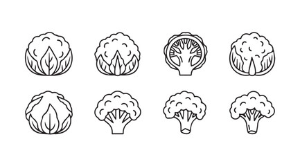 Collection of hand drawn sketch style broccoli and cabbage heads for healthy food designs vector