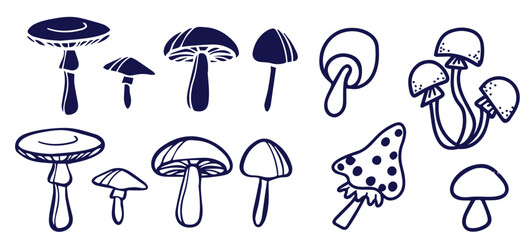 Outline mushrooms doodle big set. Fungi hand drawn sketch of various shapes and sizes isolated on white background