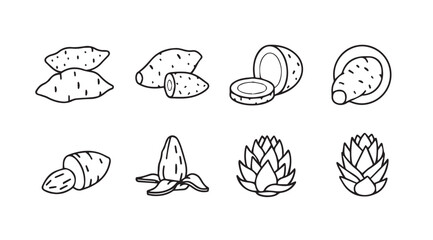 Collection of hand-drawn root vegetables and tropical fruits sketch elements for design vector