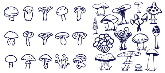 Outline mushrooms doodle big set. Fungi hand drawn sketch of various shapes and sizes isolated on white background