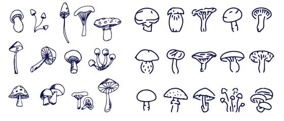 Outline mushrooms doodle big set. Fungi hand drawn sketch of various shapes and sizes isolated on white background