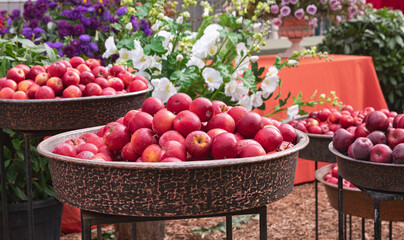 Red apples displayed in round metal containers at an agricultural fair.