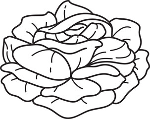 Elegant Rose Flower Line Art Illustration. Botanical Bloom Outline for Design Projects