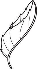 Simple Botanical Leaf Outline Vector. Black and White Line Art Drawing for Design.