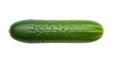 Isolated cucumber fresh green vegetable for healthy diet, ingredient for vegetarian salad