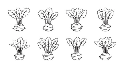 Collection of hand drawn root vegetable plants harvested and ready for use vector
