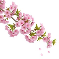 Young woman riding a gentle horse outdoors in golden hour sunlight enjoying nature