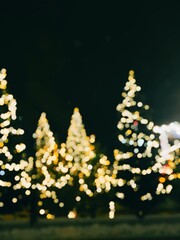 Defocused Christmas lights on decorated trees at night