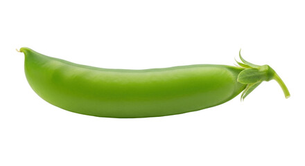 Isolated pea pod, close up of a single green snap pea, fresh vegetable ingredient