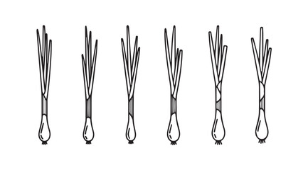 Hand drawn scallions bunch fresh spring onion green vegetables organic produce ingredient vector