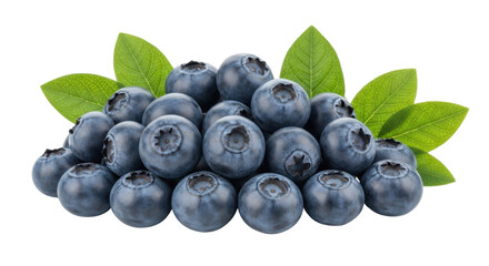 Isolated Heap of Blueberries with Green Leaves Makes for Beautiful Food Photography