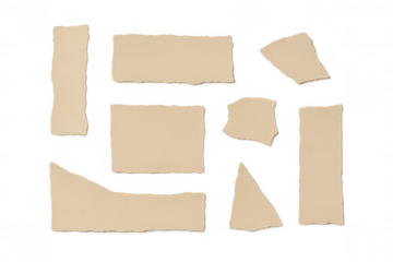 Torn paper pieces with rough edges, capturing a vintage aesthetic and providing blank texture space for messages