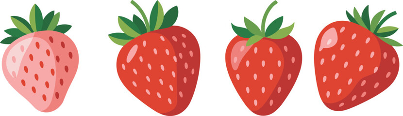 Strawberry ripening stages, fruit growth, unripe to ripe, fresh berries, agriculture concept, botanical illustration, healthy food, vector art, farm produce, nutrition