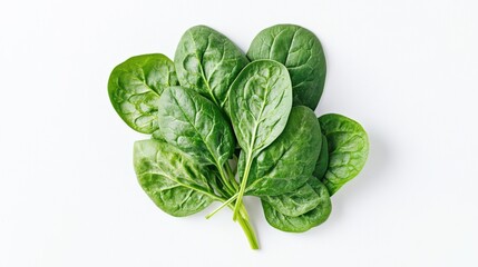 Fototapeta premium Fresh spinach leaves arranged on white background in studio