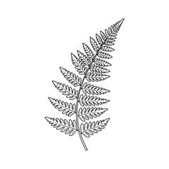 Fern leaf vector illustration in black outline style, simple minimalist botanical element on white