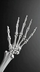 A detailed anatomical view of a human hand's skeleton.  The bones are sharply defined against a dark background