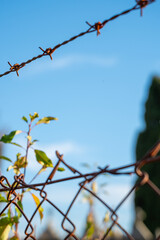 A Barbed Wire and a Chain Link Fence The Concept of a Confinement