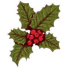 Christmas Holly with Red Berries. Vector illustration