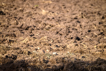 A Selective Focus on a Plowed Field The Concept of an Agriculture