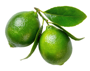 Two vibrant green citrus fruits with leafy sprig against a transparent backdrop