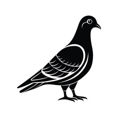 Black and white silhouette pigeon standing