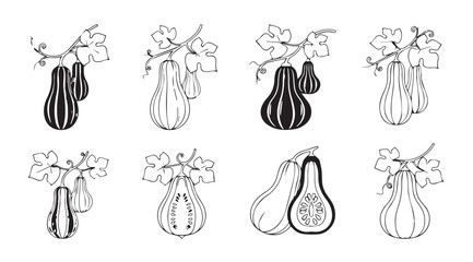 Collection of whimsical hand-drawn gourd and squash illustrations with delicate leafy accents vector