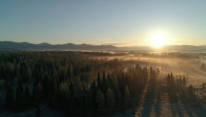 Obraz premium Aerial view of a vast forest bathed in morning sun and fog, with distant mountains