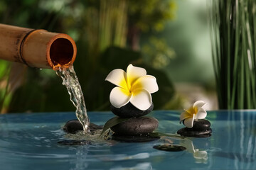 Lake with spa stones and beautiful plumeria flowers in tropical bamboo garden