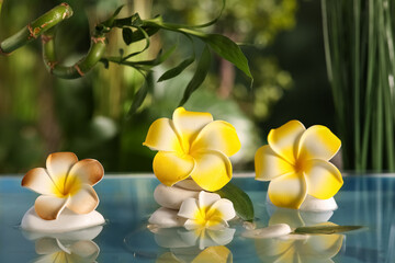 Lake with spa stones and beautiful plumeria flowers in tropical bamboo garden
