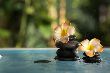 Lake with spa stones and beautiful plumeria flowers in tropical bamboo garden