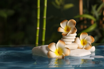 Lake with spa stones and beautiful plumeria flowers in tropical bamboo garden