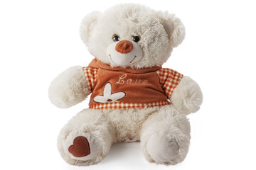 Teddy bear plush toy for kids isolated on white background