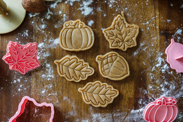 Cut Autumn Cookies on Rolled Dough with Seasonal Decor