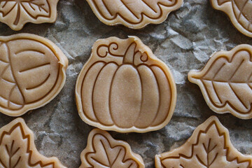 Unbaked Autumn Cookies on Baking Paper