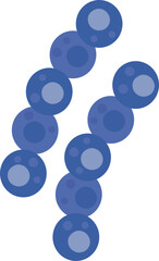 Blue streptococcus bacteria cells forming chains illustration