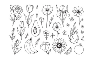 Hand drawn sketch of various flowers and botanical elements in black and white