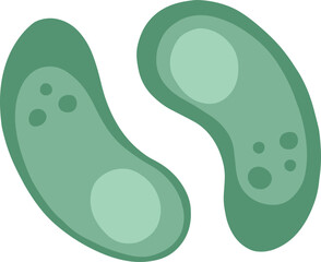 Green microbes or bacteria dividing in biology concept