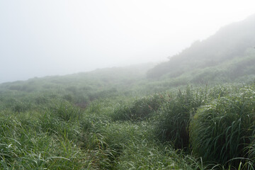 霧に包まれる朝の草千里ヶ浜 © Chiho Oki