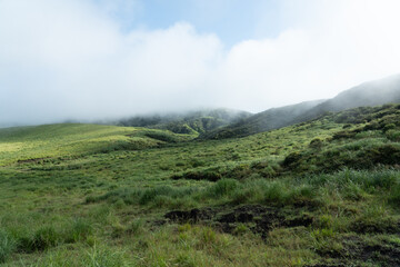 Fototapeta premium 霧がかった朝の草千里の丘