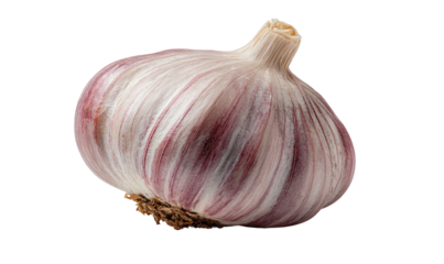 Close-up of a whole bulb, showing the layered cloves and a dried root base against a black backdrop