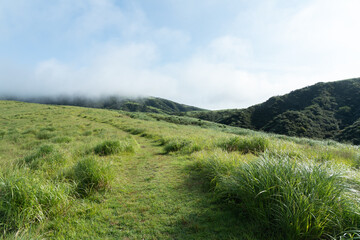 霧がかった朝の草千里の丘