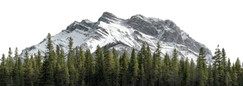 A picturesque landscape of snow-capped mountains rising above a lush forest of evergreen trees