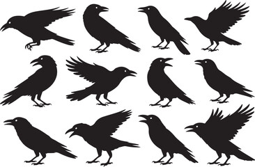 Obraz premium Collection of black silhouette crows and ravens in various poses against white background