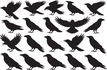 Collection of black bird silhouettes in various poses and flight actions