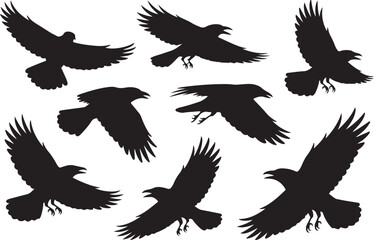 Obraz premium Collection of silhouetted crows in flight against a white background