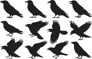 Collection of black silhouette raven and crow bird poses and flying positions
