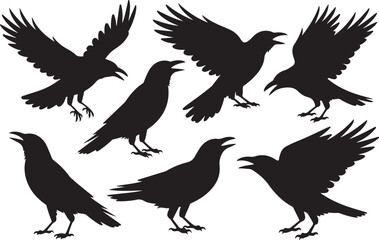 Collection of black silhouette flying and perching crows or ravens isolated on white