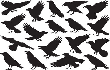 Collection of silhouetted crows in various poses against a white background