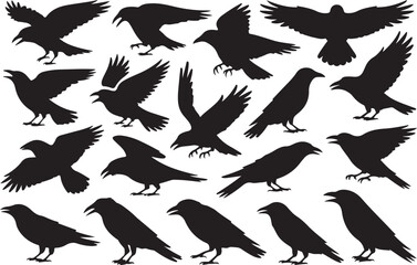 Collection of black silhouettes of crows and ravens in various poses and flight